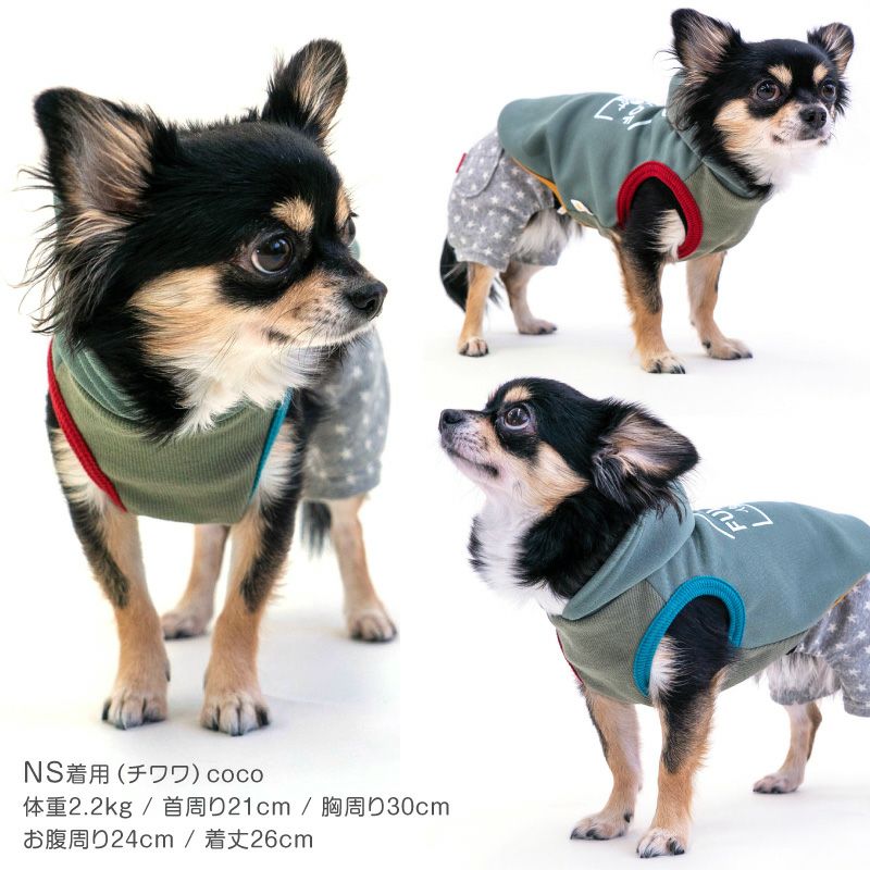 配色 リブ ダンボールニット パーカー ダックス 小型犬用 | ダックス