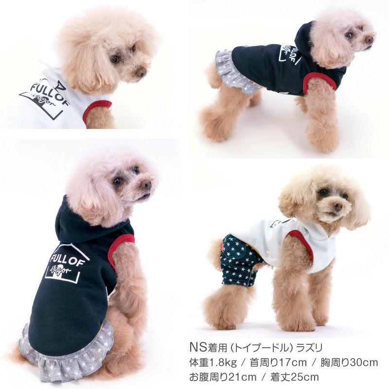 配色 リブ ダンボールニット パーカー ダックス 小型犬用 | ダックス
