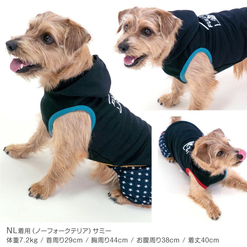 配色 リブ ダンボールニット パーカー ダックス 小型犬用 | ダックス