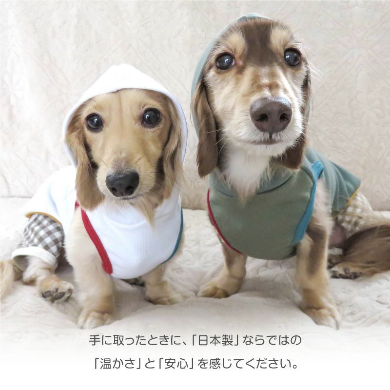 配色 リブ ダンボールニット パーカー ダックス 小型犬用 | ダックス