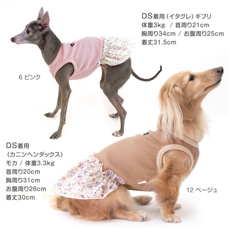 柄 フリル ワッフル ワンピース おそろコーデ ダックス 小型犬用