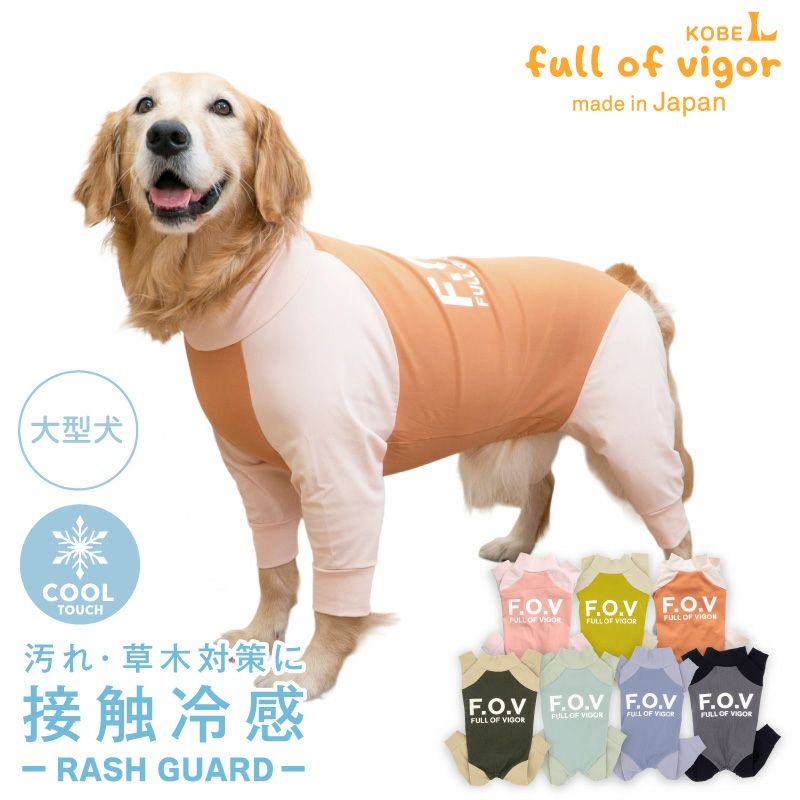 【新春セール！激レア!】COACH 大型犬用カラー&リード セット 未使用品 大型犬用 ドッグプレイ(R) 接触冷感 ハイテンション ラッシュガード