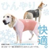 ドッグプレイ（R)接触冷感ハイテンションラッシュガード(大型犬用)