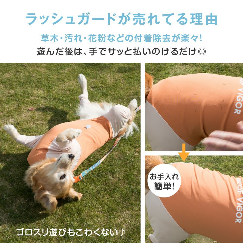 ドッグプレイ（R)接触冷感ハイテンションラッシュガード(大型犬用)