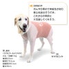 ドッグプレイ（R)接触冷感ハイテンションラッシュガード(大型犬用)