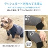ドッグプレイ（R）接触冷感ハイテンションラッシュガード(ダックス・小型犬用)