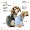 ドッグプレイ（R）接触冷感ハイテンションラッシュガード(ダックス・小型犬用)