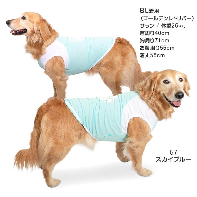 肉球プリント防蚊タンク(大型犬用)