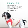 肉球プリント防蚊タンク(中型犬用)