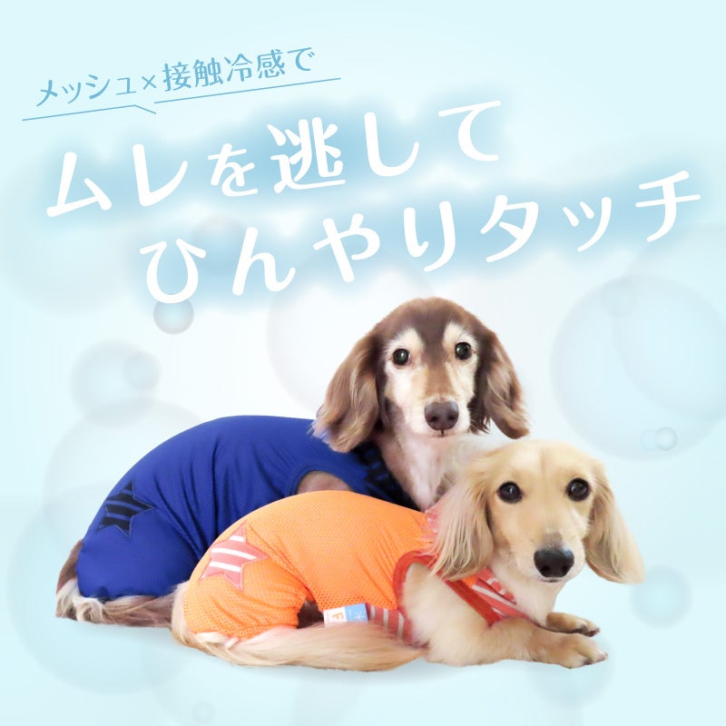 接触冷感フード付メッシュ袖なしつなぎ(ダックス・小型犬用)