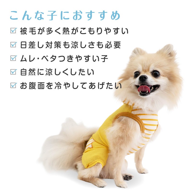 接触冷感フード付メッシュ袖なしつなぎ(ダックス・小型犬用)