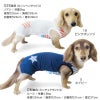 接触冷感フード付メッシュ袖なしつなぎ(ダックス・小型犬用)