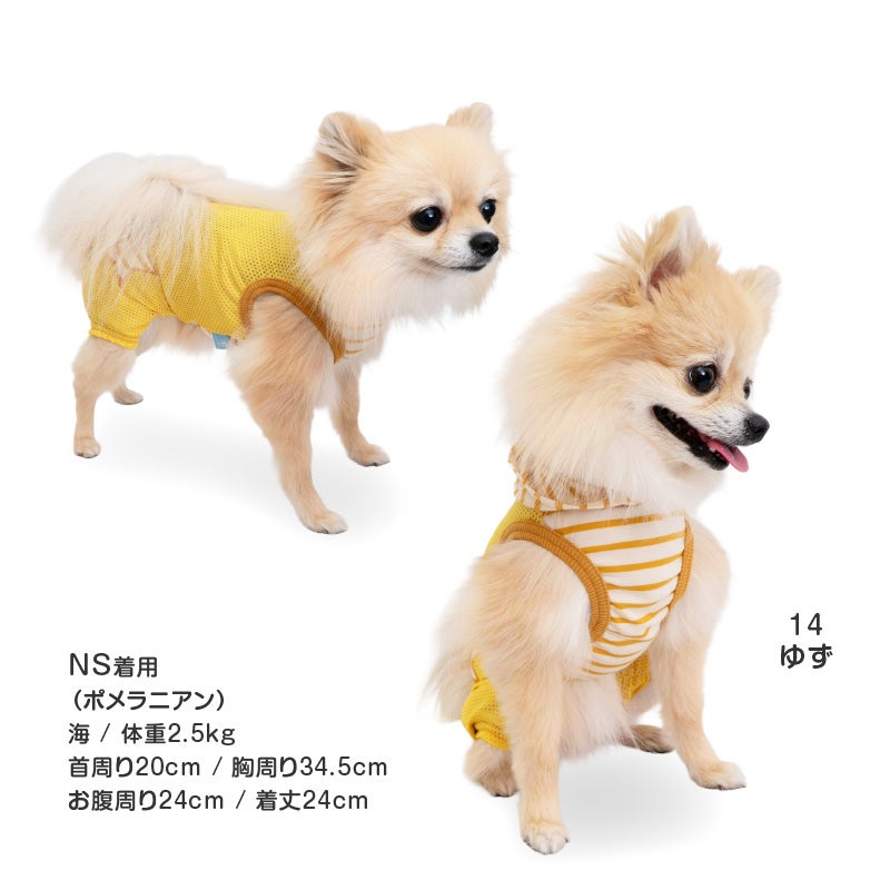 接触冷感フード付メッシュ袖なしつなぎ(ダックス・小型犬用)