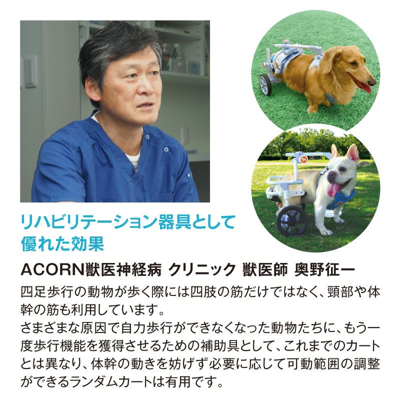 犬用車椅子 歩行器 ランダムカート