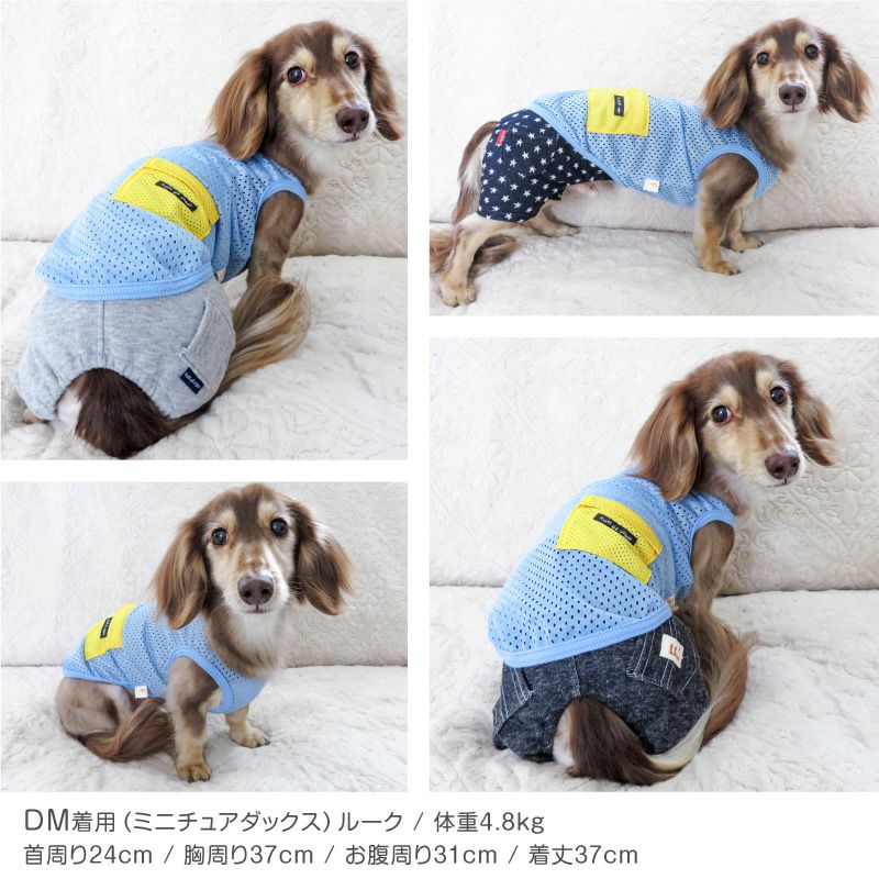 ポケット付 メッシュ タンク ダックス 小型犬用 | ダックス、猫 、小型