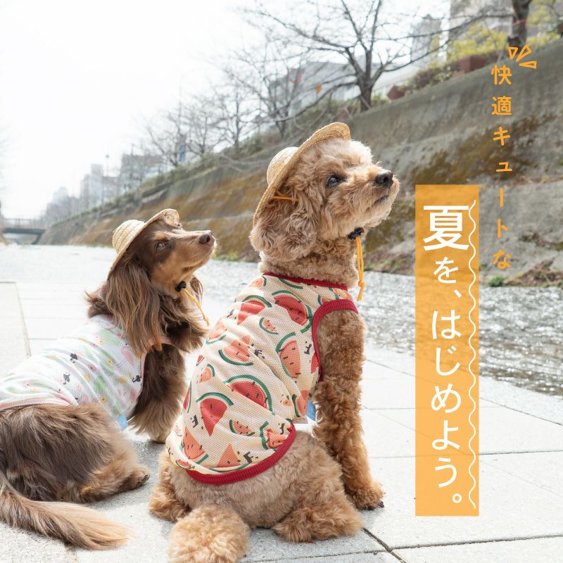 夏らしい柄を揃えたバラエティ豊かなメッシュタンク