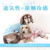 バラエティ柄接触冷感メッシュタンク(ダックス・小型犬用)