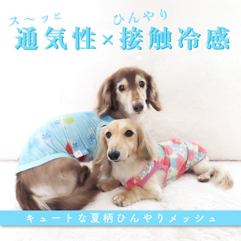 バラエティ柄接触冷感メッシュタンク(ダックス・小型犬用)