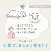 バラエティ柄接触冷感メッシュタンク(ダックス・小型犬用)