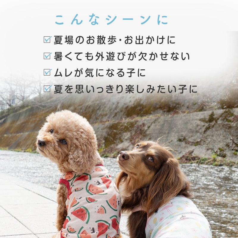 バラエティ柄接触冷感メッシュタンク(ダックス・小型犬用)