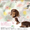 バラエティ柄接触冷感メッシュタンク(ダックス・小型犬用)