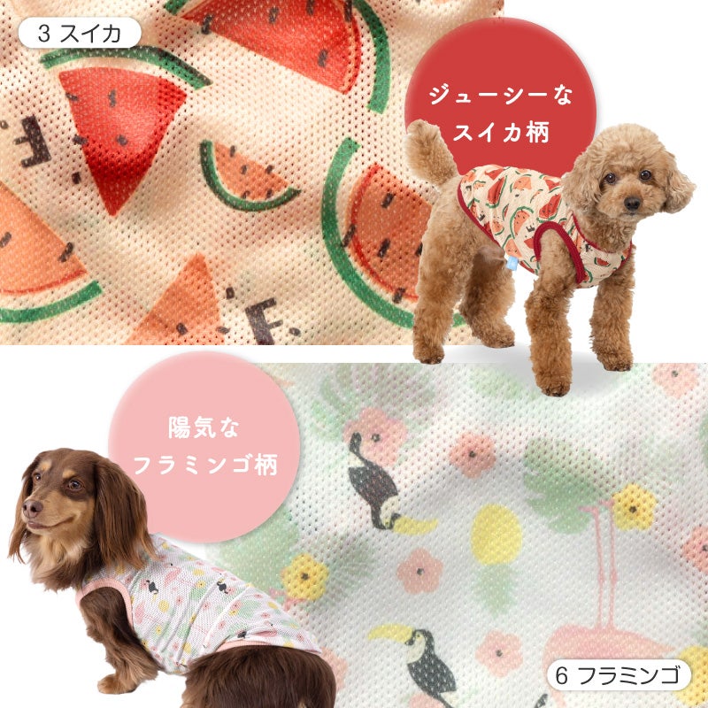 バラエティ柄接触冷感メッシュタンク(ダックス・小型犬用)