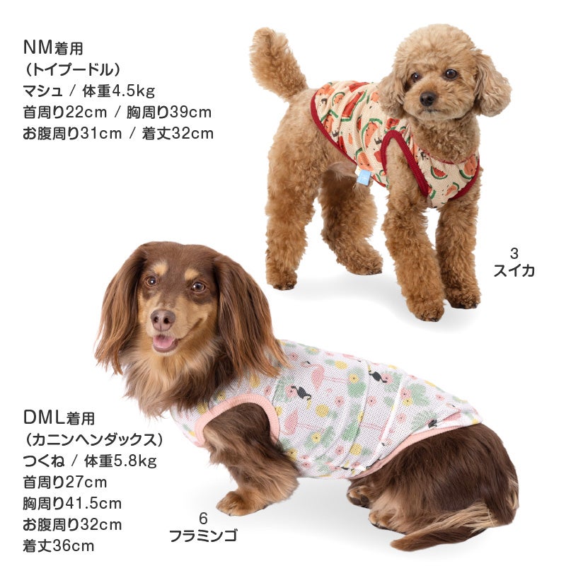 バラエティ柄接触冷感メッシュタンク(ダックス・小型犬用)