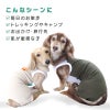 足跡刺しゅう防蚊切り替え袖なしつなぎ(ダックス・小型犬用)