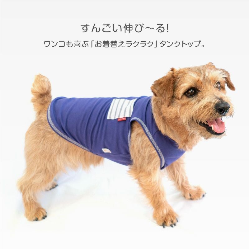 ボーダー ポケット のびのび 天竺 タンク ダックス 小型犬用