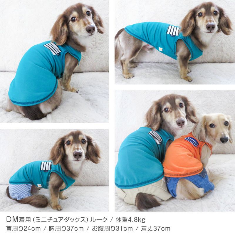ボーダー ポケット のびのび 天竺 タンク ダックス 小型犬用