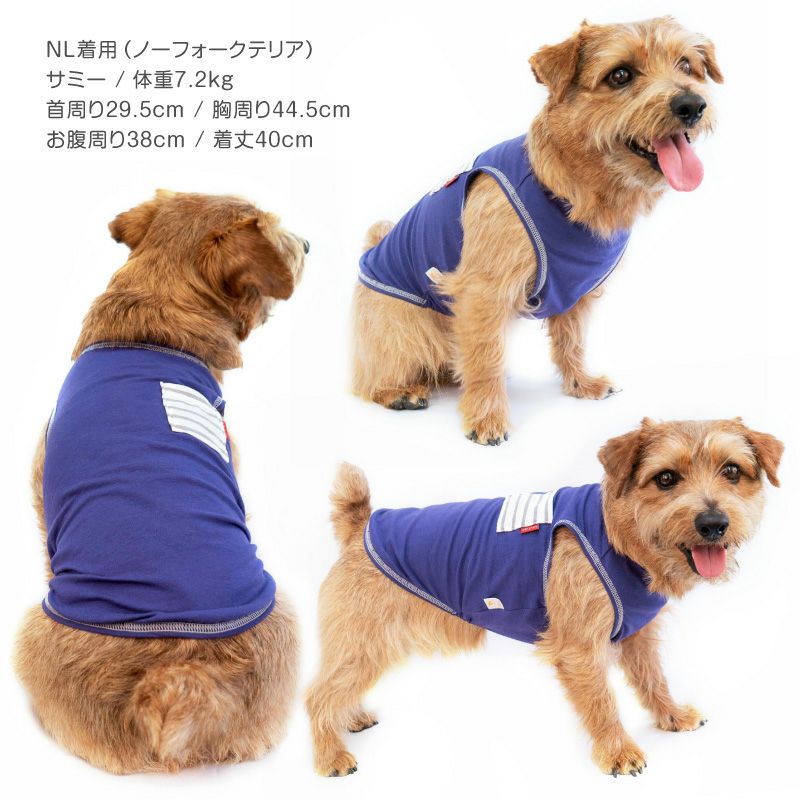 ボーダー ポケット のびのび 天竺 タンク ダックス 小型犬用