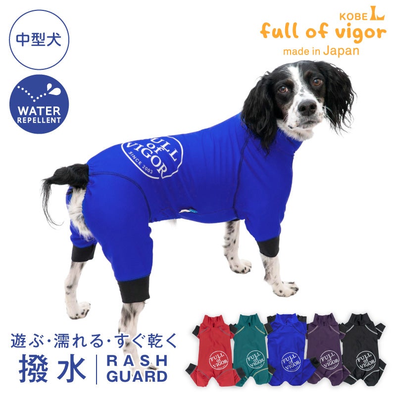サークルプリント撥水ラッシュガード・中型