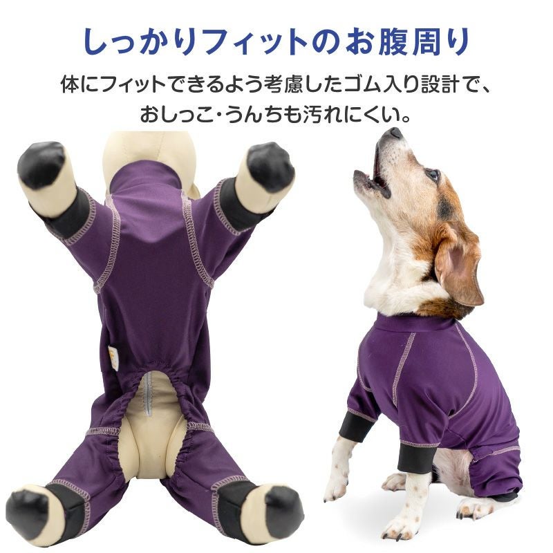 中型犬用 伸びて 着せやすい ドッグプレイ(R) サークル プリント 撥水