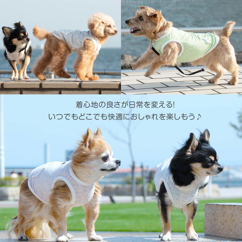 カンガルー ポケット スラブ 天竺 タンクトップ ダックス 小型犬用