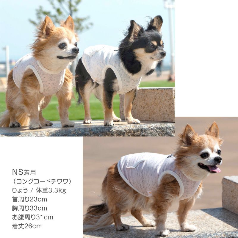 カンガルー ポケット スラブ 天竺 タンクトップ ダックス 小型犬用