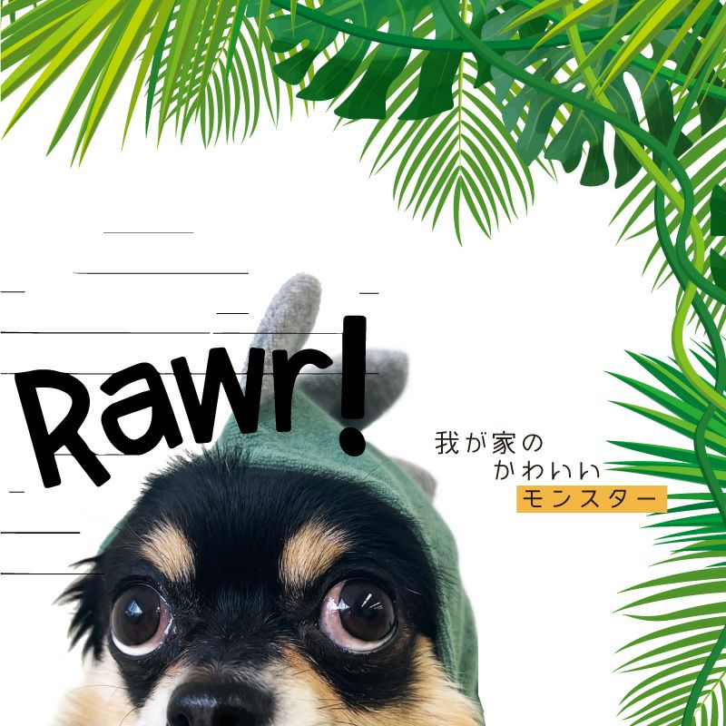 なりきりアニマル 恐竜 フード パイル タンク ダックス 小型犬用