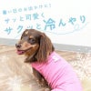 フルーツ刺しゅう接触冷感天竺タンク(ダックス・小型犬用)