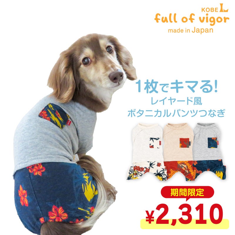 レイヤード風ボタニカルパンツつなぎ(ダックス・小型犬用)