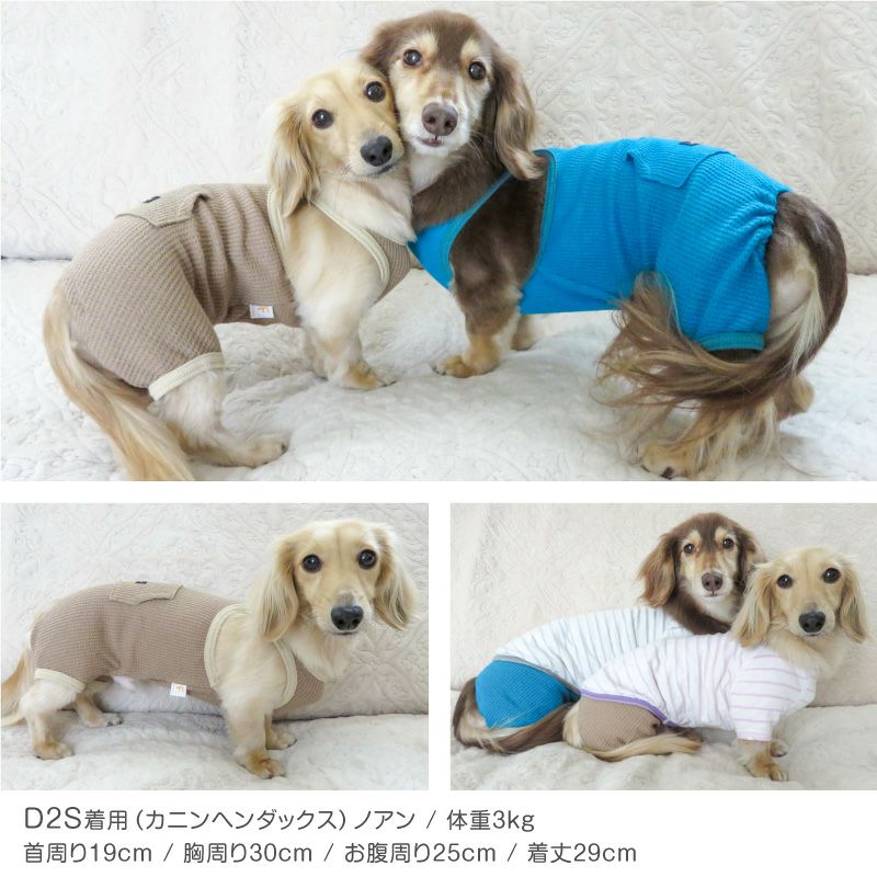ハンドメイド　タックコート　オーダー小型犬 ポケット付き ワッフル オーバーオール ダックス 小型犬用 | ダックス