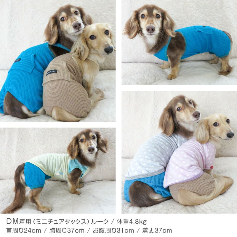 ポケット付き ワッフル オーバーオール ダックス 小型犬用 | ダックス