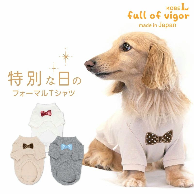 伸びて 着せやすい ネック ワッペン ベア天竺 Tシャツ ダックス 小型犬