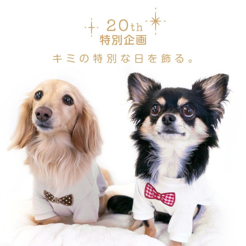 犬服・アクセサリー H&T 豹柄 スタイリッシュなダックスちゃんのハイネックタンクトップ 犬服 犬服・アクセサリー