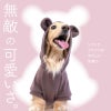 耳付きプレミアウォームパーカー(ダックス・小型犬用)