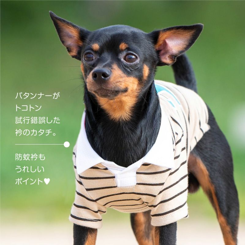 防蚊 衿 バックプリント フライス ポロシャツ ダックス 小型犬用