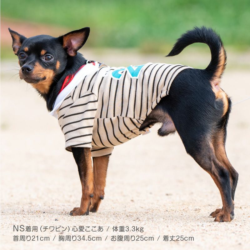 新品 ウエサコミエコ 長袖ポロシャツ 48サイズ 黒×ブラウン 犬刺繍 チェック 防蚊 衿 バックプリント フライス ポロシャツ ダックス 小型犬用