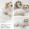 ドット柄フリルテレコワンピース(ダックス・小型犬用)