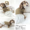 ドット柄フリルテレコワンピース(ダックス・小型犬用)