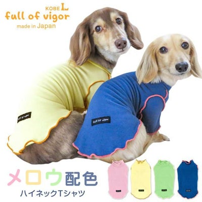 配色メロウハイネックTシャツ(ダックス・小型犬用)