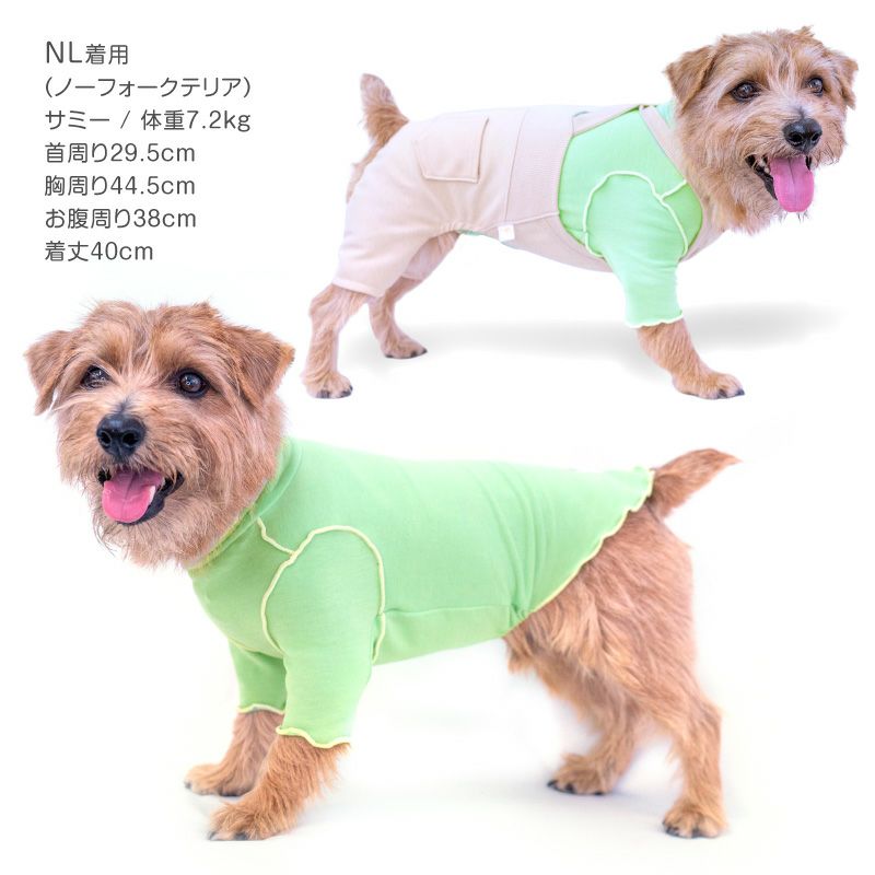 伸びて 着せやすい 配色 メロウ ハイネック Tシャツ ダックス 小型犬用