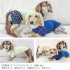 配色メロウハイネックTシャツ(ダックス・小型犬用)